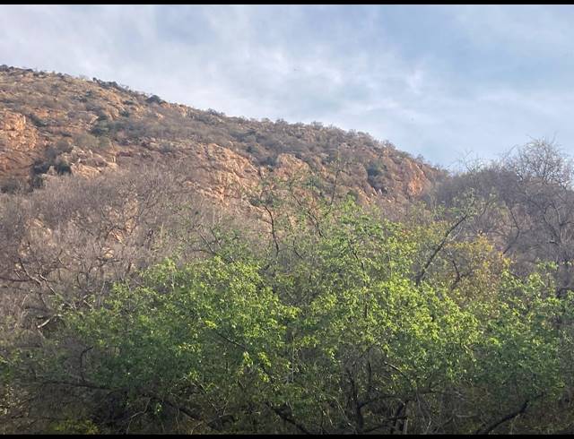 81HA FARM FOR SALE IN RIETVLY AH